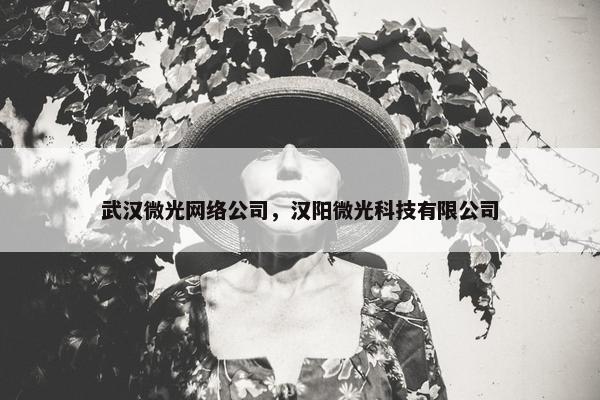 武汉微光网络公司，汉阳微光科技有限公司