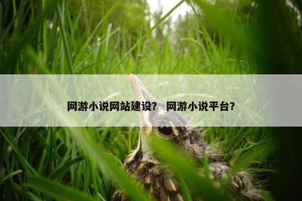 网游小说网站建设？ 网游小说平台？