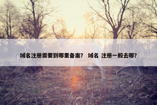 域名注册需要到哪里备案？ 域名 注册一般去哪？