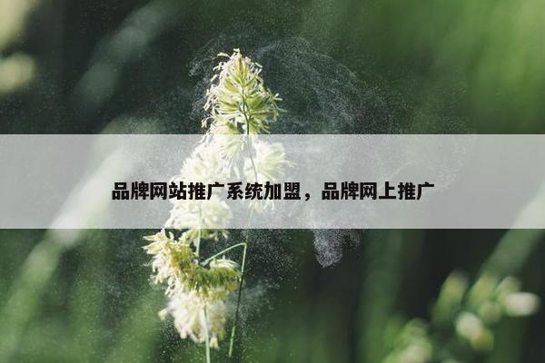 品牌网站推广系统加盟，品牌网上推广