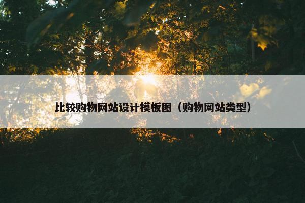 比较购物网站设计模板图（购物网站类型）