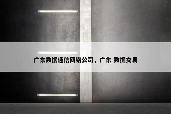 广东数据通信网络公司，广东 数据交易