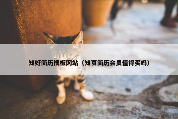 知好简历模板网站（知页简历会员值得买吗）