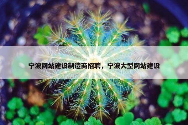 宁波网站建设制造商招聘，宁波大型网站建设