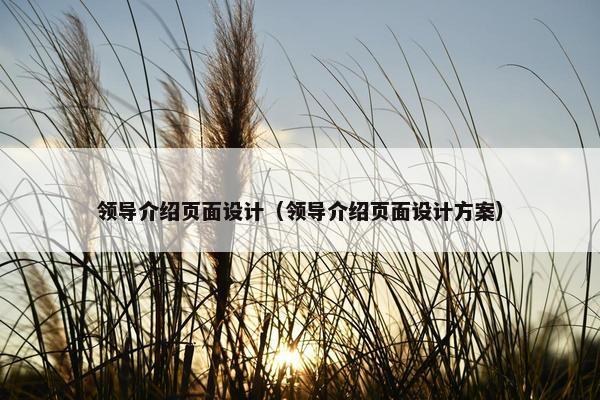 领导介绍页面设计（领导介绍页面设计方案）