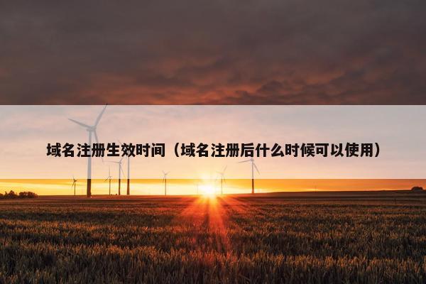 域名注册生效时间（域名注册后什么时候可以使用）