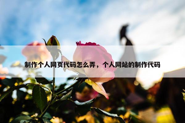 制作个人网页代码怎么弄，个人网站的制作代码