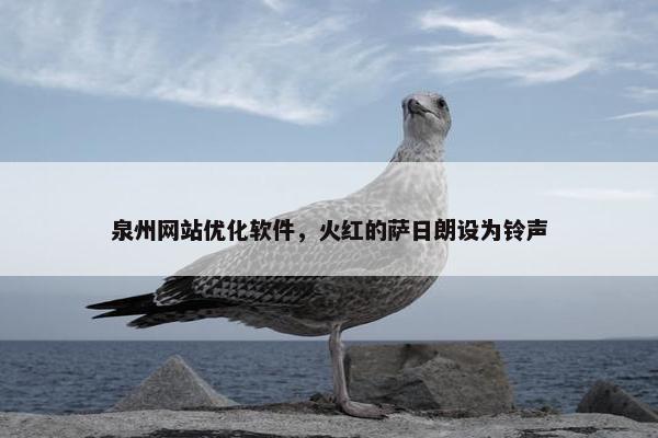 泉州网站优化软件，火红的萨日朗设为铃声