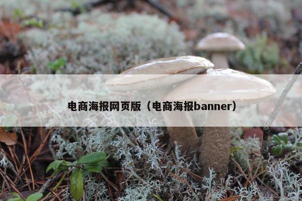 电商海报网页版（电商海报banner）