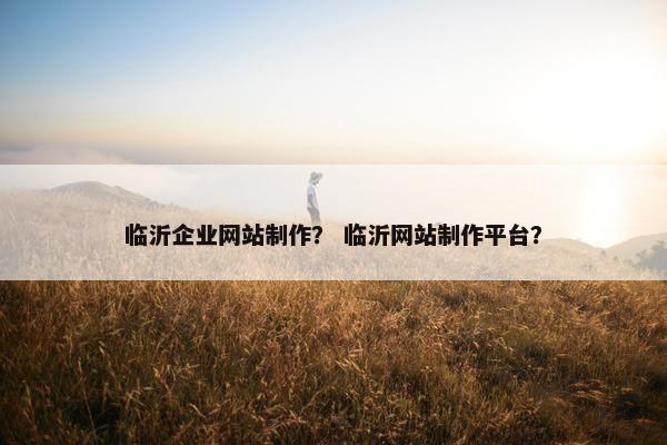 临沂企业网站制作？ 临沂网站制作平台？