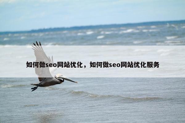 如何做seo网站优化，如何做seo网站优化服务