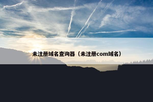 未注册域名查询器（未注册com域名）