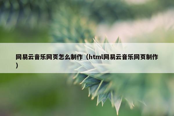 网易云音乐网页怎么制作（html网易云音乐网页制作）