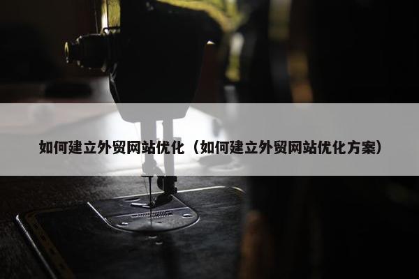 如何建立外贸网站优化（如何建立外贸网站优化方案）
