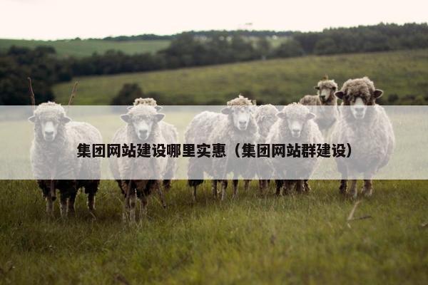 集团网站建设哪里实惠（集团网站群建设）