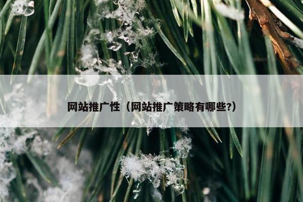 网站推广性（网站推广策略有哪些?）
