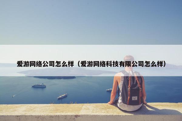 爱游网络公司怎么样（爱游网络科技有限公司怎么样）