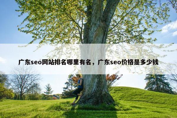 广东seo网站排名哪里有名，广东seo价格是多少钱