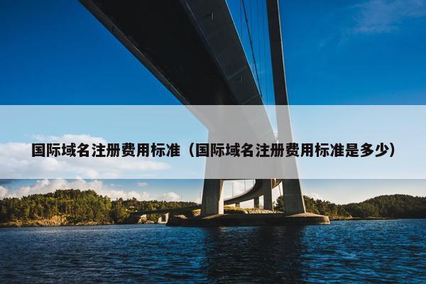 国际域名注册费用标准（国际域名注册费用标准是多少）