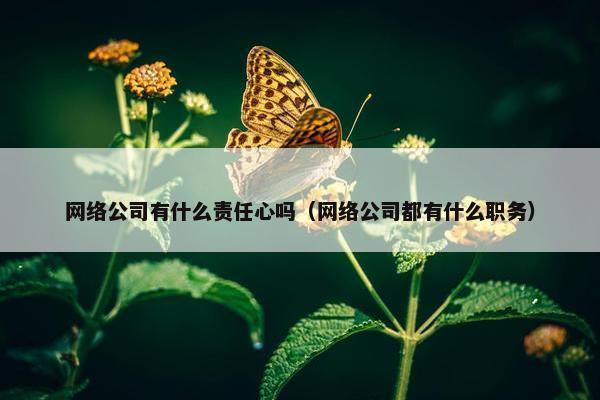 网络公司有什么责任心吗（网络公司都有什么职务）