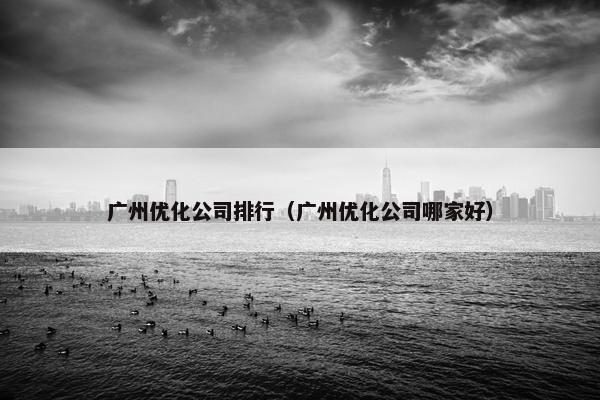 广州优化公司排行（广州优化公司哪家好）