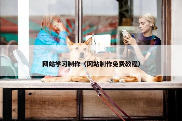 网站学习制作（网站制作免费教程）