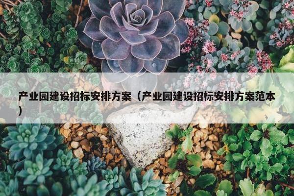 产业园建设招标安排方案（产业园建设招标安排方案范本）
