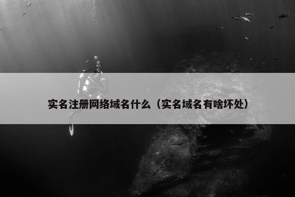实名注册网络域名什么（实名域名有啥坏处）