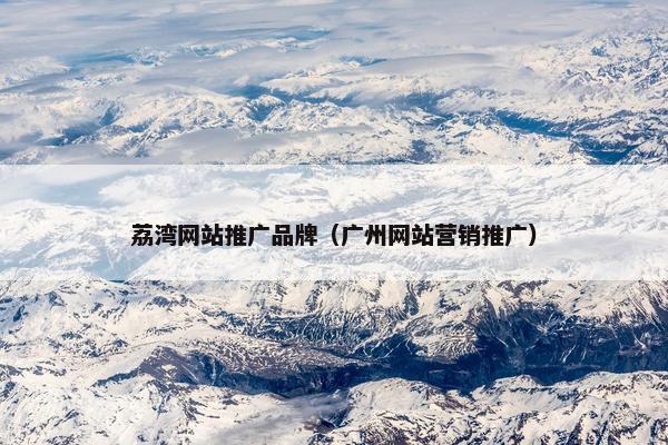 荔湾网站推广品牌（广州网站营销推广）