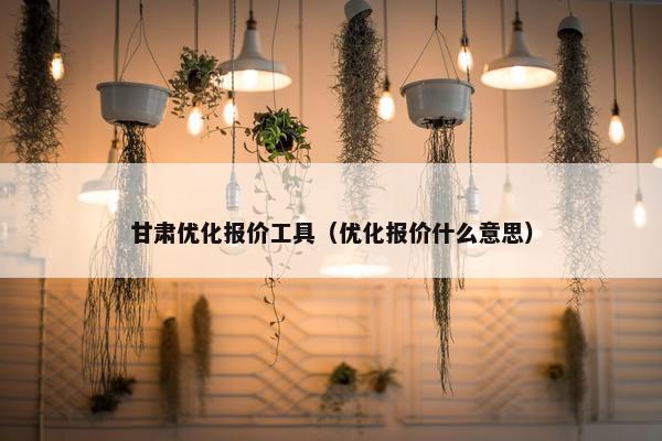 甘肃优化报价工具（优化报价什么意思）