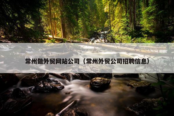 常州做外贸网站公司（常州外贸公司招聘信息）