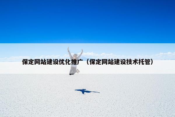 保定网站建设优化推广（保定网站建设技术托管）