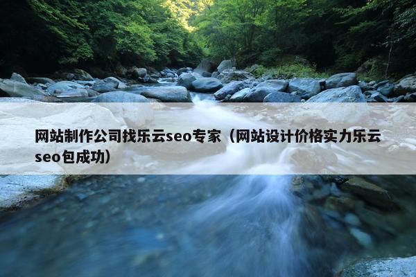 网站制作公司找乐云seo专家（网站设计价格实力乐云seo包成功）