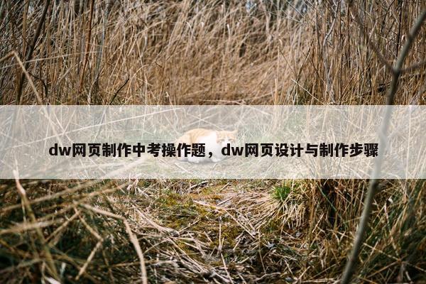 dw网页制作中考操作题，dw网页设计与制作步骤