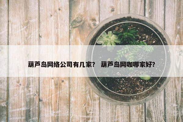 葫芦岛网络公司有几家？ 葫芦岛网咖哪家好？