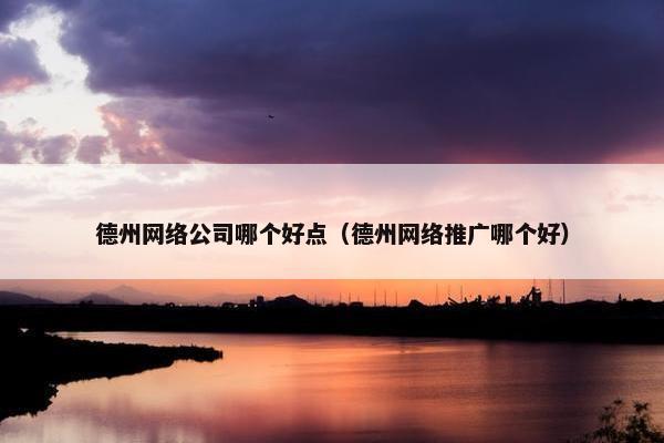 德州网络公司哪个好点（德州网络推广哪个好）
