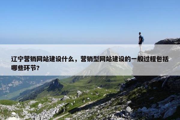 辽宁营销网站建设什么，营销型网站建设的一般过程包括哪些环节?