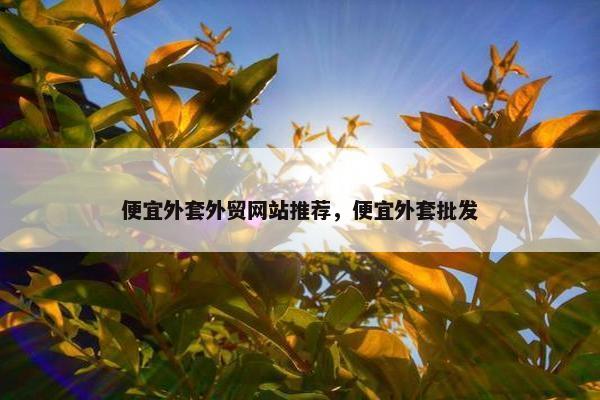 便宜外套外贸网站推荐，便宜外套批发