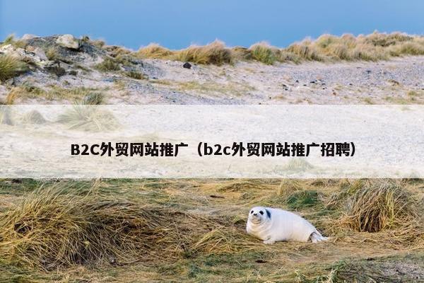 B2C外贸网站推广（b2c外贸网站推广招聘）