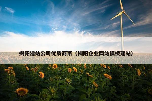 揭阳建站公司优质商家（揭阳企业网站模板建站）