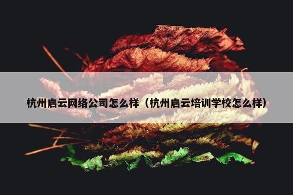 杭州启云网络公司怎么样（杭州启云培训学校怎么样）