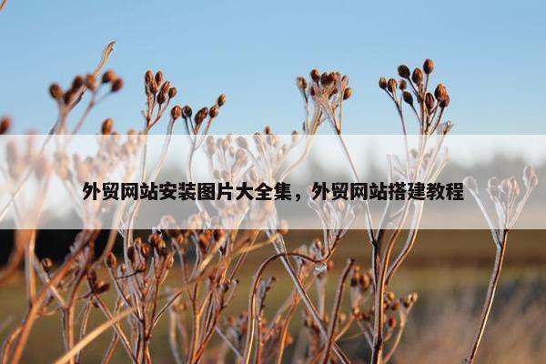 外贸网站安装图片大全集，外贸网站搭建教程