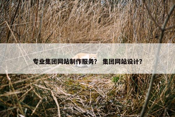 专业集团网站制作服务？ 集团网站设计？