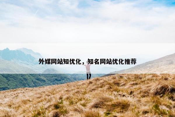 外媒网站知优化，知名网站优化推荐