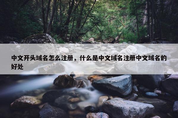 中文开头域名怎么注册，什么是中文域名注册中文域名的好处