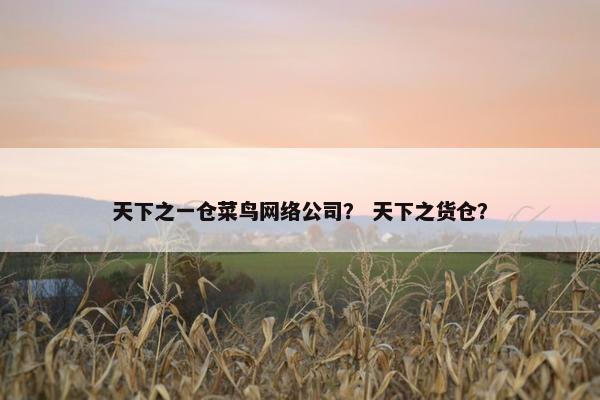 天下之一仓菜鸟网络公司？ 天下之货仓？