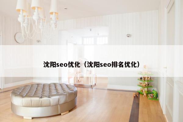 沈阳seo优化（沈阳seo排名优化）