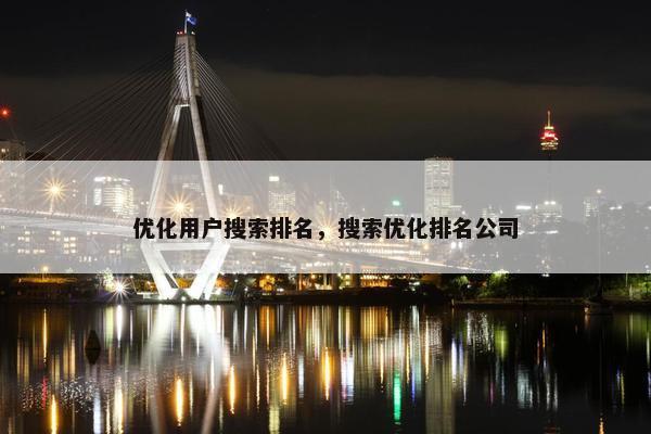 优化用户搜索排名，搜索优化排名公司