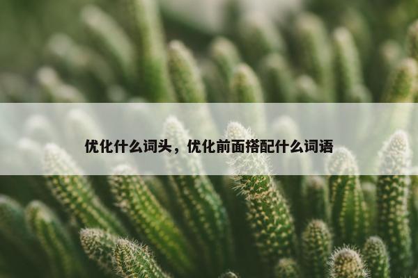 优化什么词头，优化前面搭配什么词语