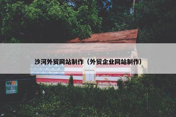 沙河外贸网站制作（外贸企业网站制作）